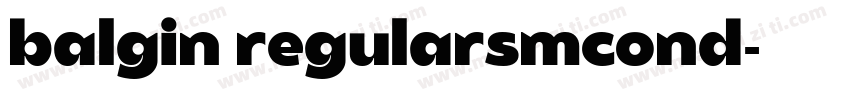 balgin regularsmcond字体转换